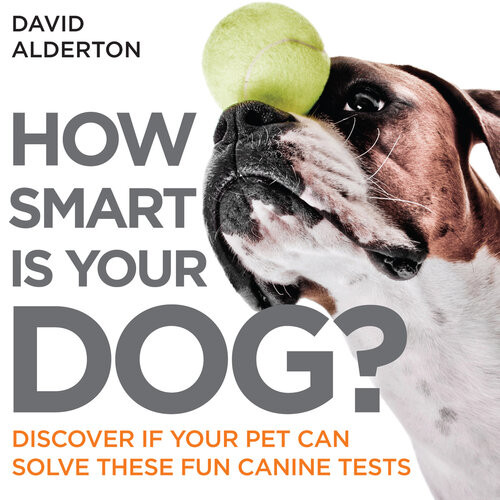 How Smart Is Your Dog David Alderton