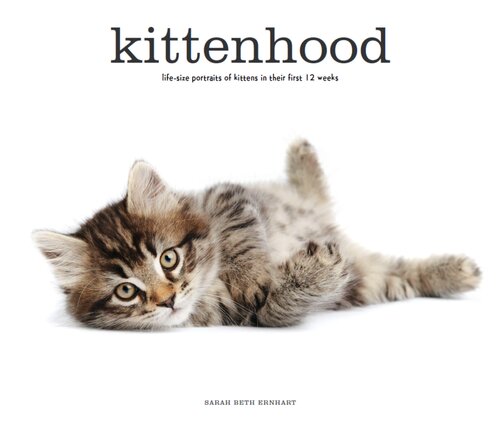 Kittenhood Sarah Beth Ernhart Beckermayer Books