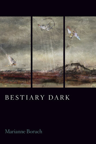 Bestiary Dark Marianne Boruch