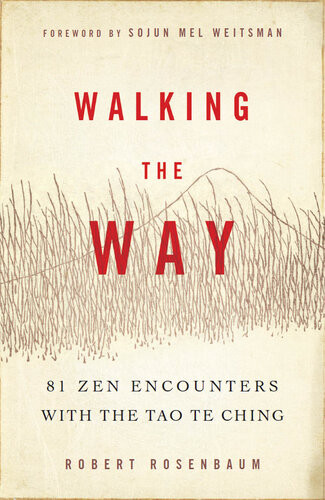 Walking The Way 81 Zen Encounters With The Tao Te Ching 2013 Robert Rosenbaum