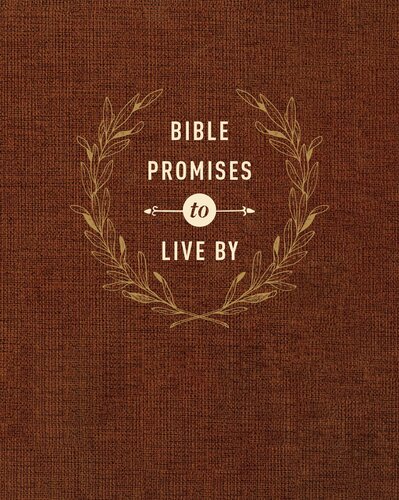 Bible Promises To Live By Amy Mason
