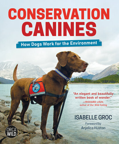 Conservation Canines How Dogs Work For The Environment Isabelle Groc