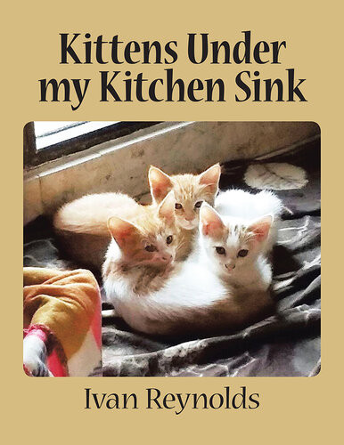 Kittens Under My Kitchen Sink Ivan Reynolds
