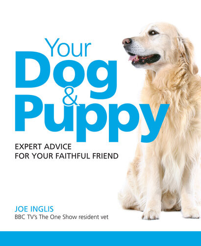 Your Dog Puppy Expert Advice For Your Faithful Friend Joe Inglis