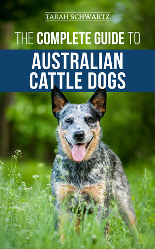 The Complete Guide To Australian Cattle Dogs Tarah Schwartz