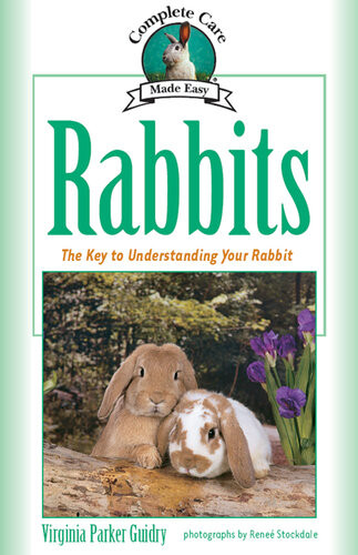 Rabbits The Key To Understanding Your Rabbit Virginia Parker Guidry