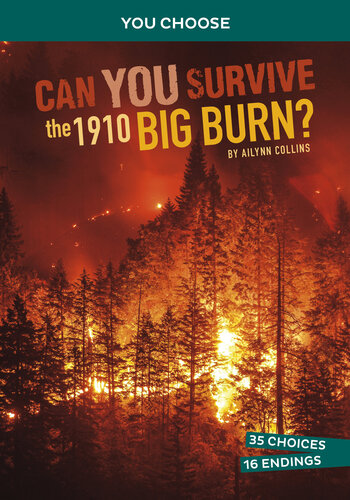 Can You Survive The 1910 Big Burn An Interactive History Adventure Ailynn Collins
