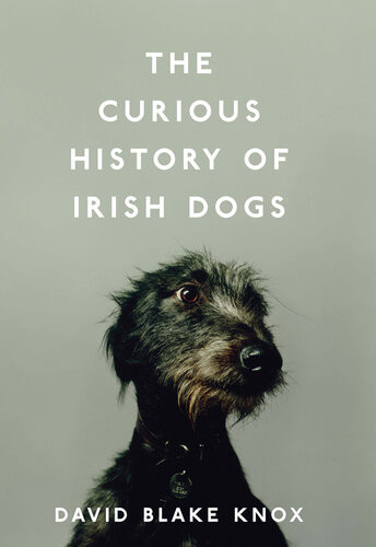 The Curious History Of Irish Dogs David Blake Knox