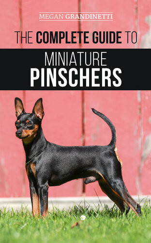 The Complete Guide To Miniature Pinschers Megan Grandinetti