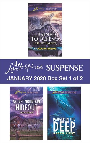 Harlequin Love Inspired Suspense January 2020box Set 1 Of 2 Christy Barritt Terri Reed Karen Kirst