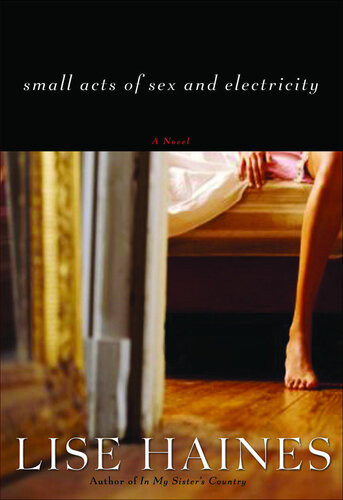 Small Acts Of Sex And Electricity Lise Haines