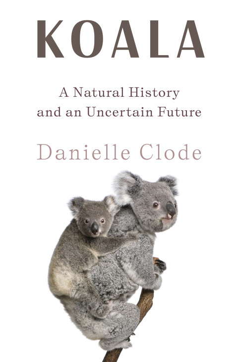 Koala A Natural History And An Uncertain Future 1st Edition Danielle Clode