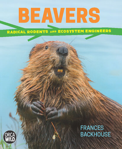 Beavers Radical Rodents And Ecosystem Engineers Frances Backhouse