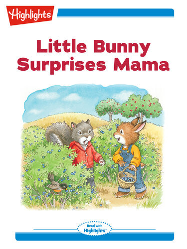 Little Bunny Surprises Mama Eileen Spinelli