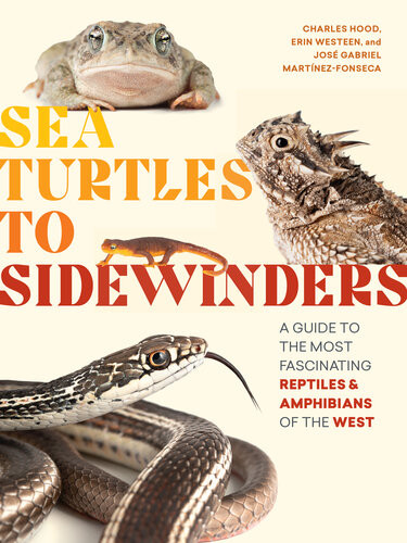 Sea Turtles To Sidewinders A Guide To The Most Fascinating Reptiles And Amphibians Of The West Charles Hood Erin Westeen Jose Gabriel Martinezfonseca