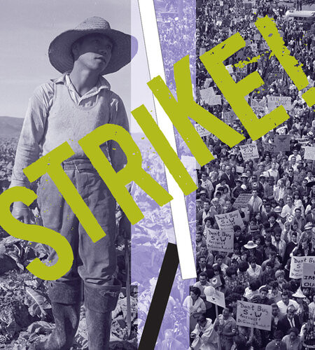 Strike The Farm Workers Fight For Their Rights Larry Dane Brimner