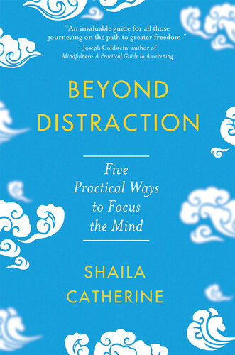 Beyond Distraction Five Practical Ways To Focus Your Mind Shaila Catherine