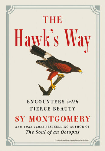 The Hawks Way Encounters With Fierce Beauty Sy Montgomery