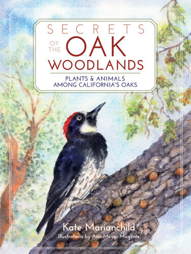 Secrets Of The Oak Woodlands Kate Marianchild