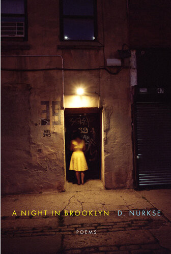 A Night In Brooklyn D Nurkse