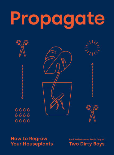 Propagate How To Regrow Your Houseplants Paul Anderton