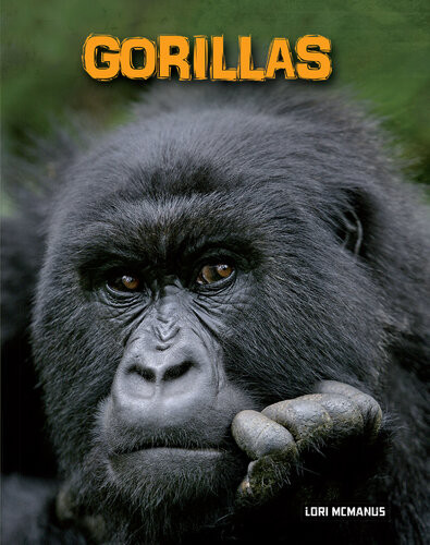 Gorillas Lori Mcmanus