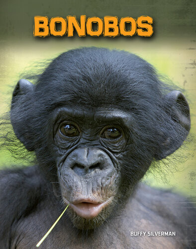 Bonobos Buffy Silverman