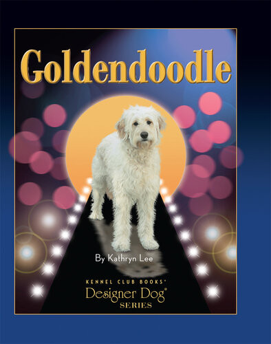 Goldendoodle Kathryn Lee