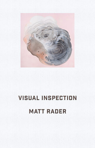 Visual Inspection Matt Rader