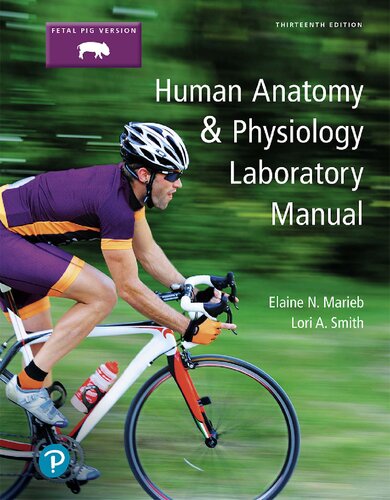 Human Anatomy And Physiology Laboratory Manual Fetal Pig Version 13th Edition By Elaine Marieb 13th Edition Lori Smith