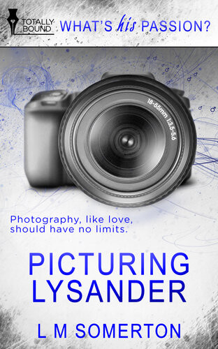 Picturing Lysander Lm Somerton
