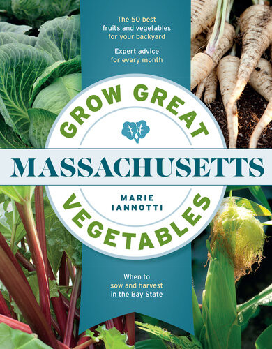 Grow Great Vegetables In Massachusetts Marie Iannotti