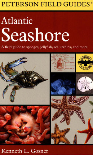 Atlantic Seashore A Field Guide To Sponges Jellyfish Sea Urchins And More Kenneth L Gosner