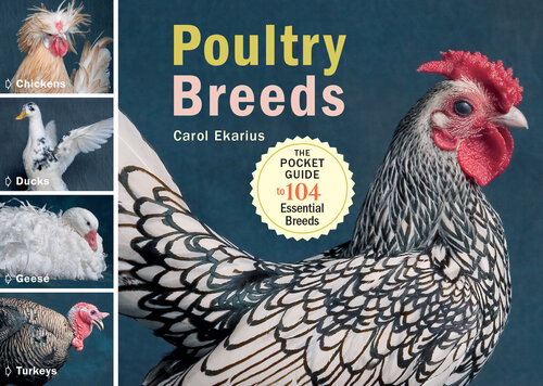 Poultry Breeds Chickens Ducks Geese Turkeys The Pocket Guide To 104 Essential Breeds Carol Ekarius
