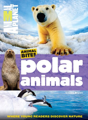 Polar Animals Animal Planet