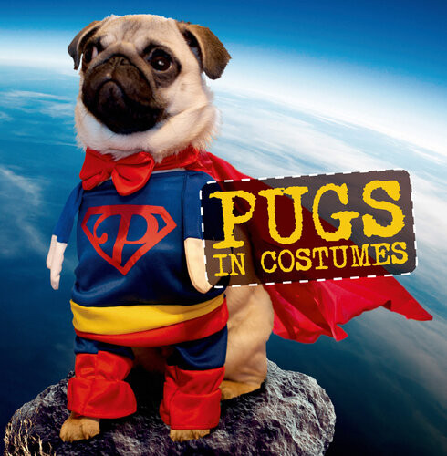 Pugs In Costumes Virginia Woof
