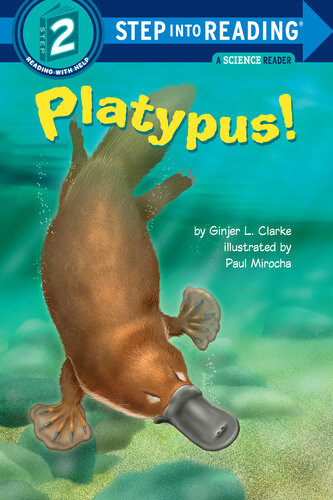 Platypus Ginjer L Clarke