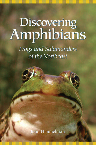 Discovering Amphibians Frogs And Salamanders Of The Northeast John Himmelman