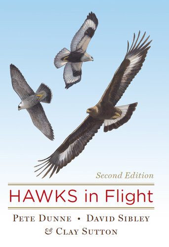 Hawks In Flight 2nd Edition Pete Dunne Clay Sutton David Sibley