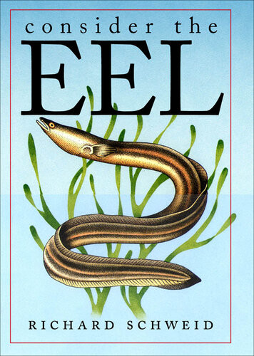 Consider The Eel Richard Schweid