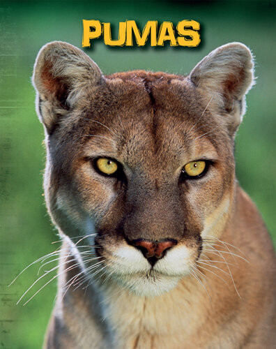 Pumas Charlotte Guillain