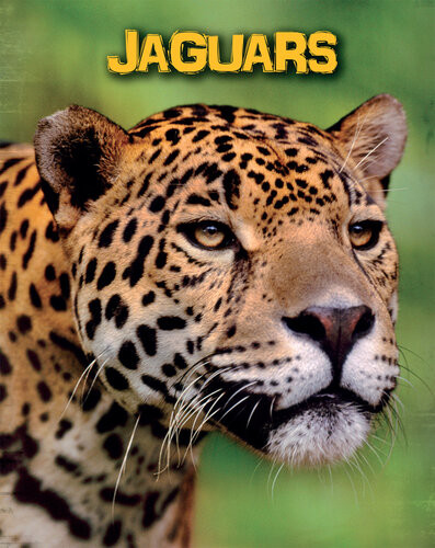 Jaguars Charlotte Guillain