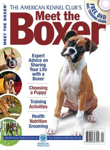 Meet The Boxer Dog Fancy Magazine