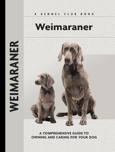 Weimaraner Lavonia Harper