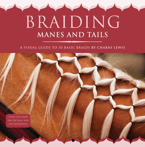 Braiding Manes And Tails A Visual Guide To 30 Basic Braids Charni Lewis