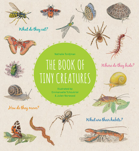The Book Of Tiny Creatures Nathalie Tordjman