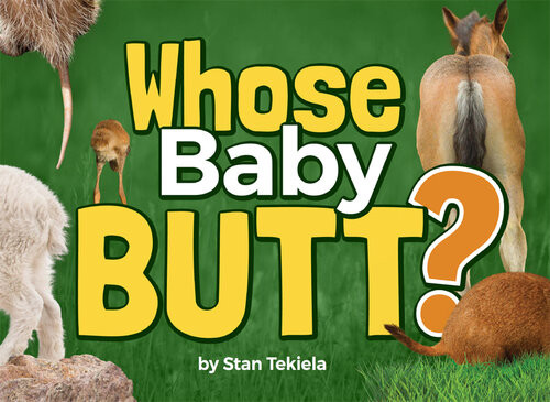 Whose Baby Butt Stan Tekiela