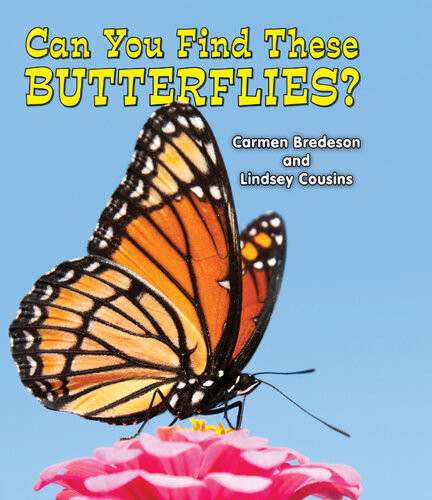 Can You Find These Butterflies Carmen Bredeson Lindsey Cousins