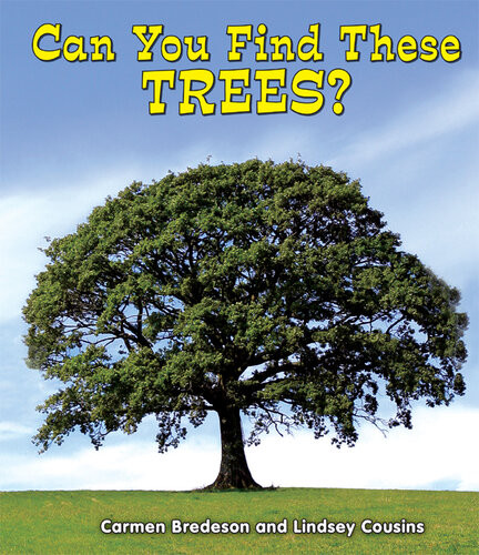 Can You Find These Trees Carmen Bredeson Lindsey Cousins