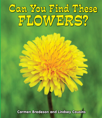 Can You Find These Flowers Carmen Bredeson Lindsey Cousins